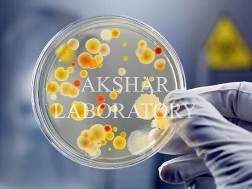 Food & Agriculture Testing Services