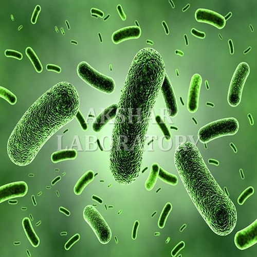 Microbiological Testing सेवाएं