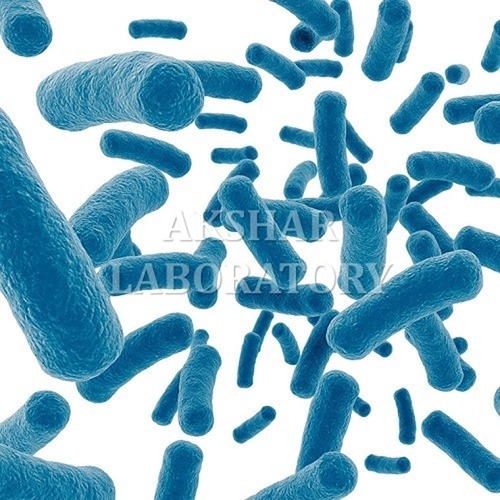 Antibacterial Activity Testing सेवाएं