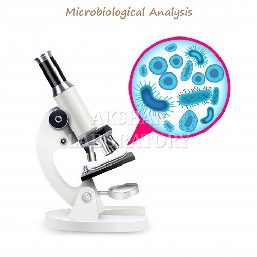 Microbiological Bacterial Testing सेवाएं