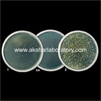 Antibacterial Test On Materials Testing Services