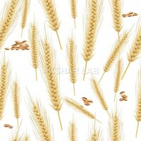 Wheat Testing Services