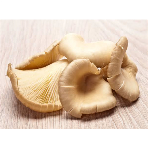 Dry Oyster Mushroom By NAIKARE BIZ PRIVATE LIMITED