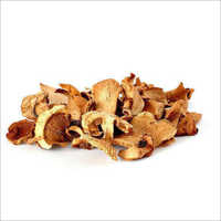 Dried Mushroom