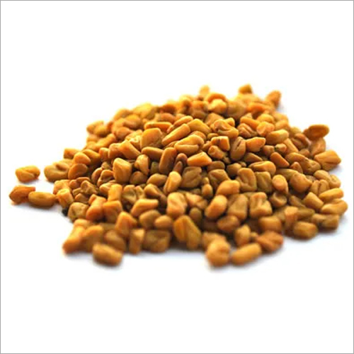 Fenugreek Seeds - Raw, Yellow Color | 365 Days Shelf Life, Powerful and Aromatic Flavor