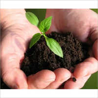 Fertilizante Bio natural