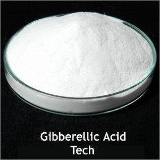 Gibberellic Acid Powder