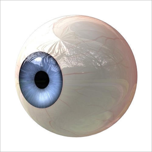 Cosmetic Artificial Eye