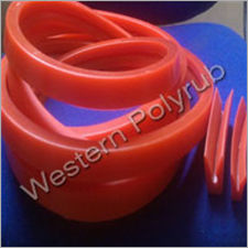 Autoclave Gasket