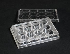 Labcare Export Sorting Tray