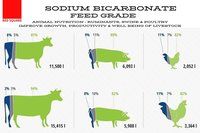 Sodium Bicarbonate - Feed Grade - RED SQUARE