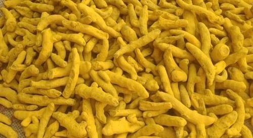 Turmeric Finger Double Polished