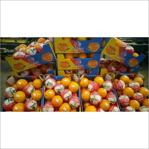 Neval Orange