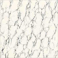 Elite 80x80 CM Neron Snow Double Charge Vitrified Tiles