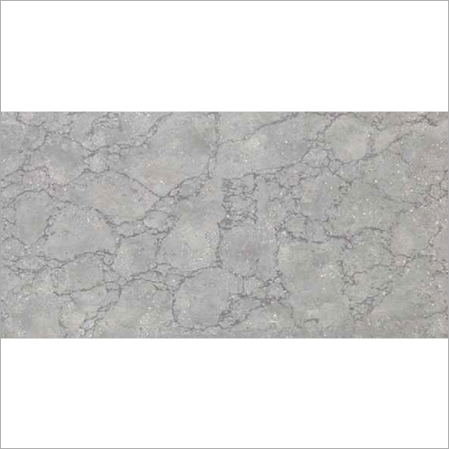 Elite 160x80 CM Platina Gris Double Charge Vitrified Tiles