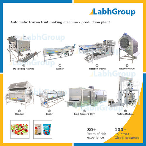 Automatic Frozen Fruit Making Machine - Production Plant Capacity: 1000 Kg/Hr