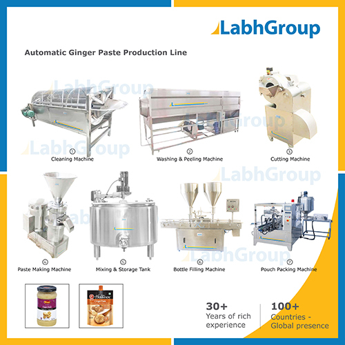 Ginger Paste Making Machines