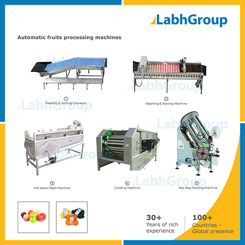 Fresh Fruits Processing Machines