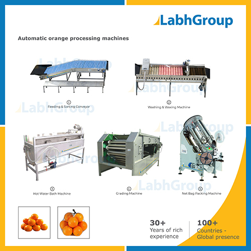 Fresh Orange Processing Machines