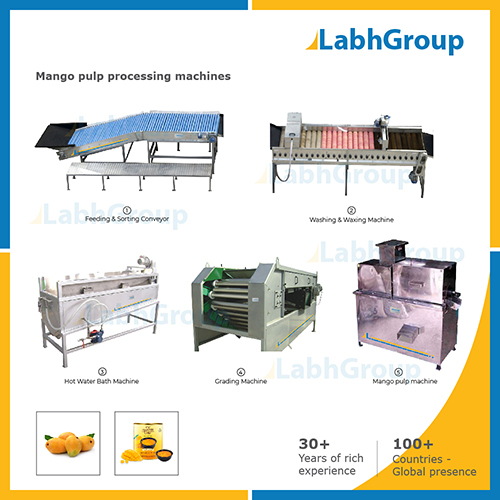 Mango Pulp Processing Machines
