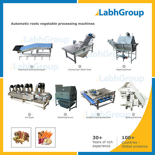 Fresh Roots Vegetable Processing Machines
