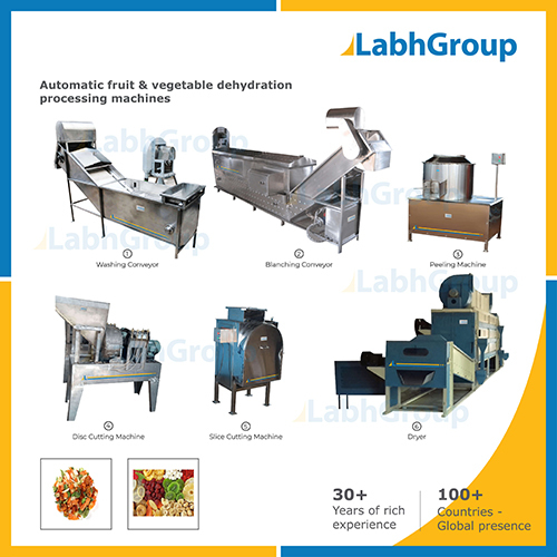 Dehydrated Fruit Making Machine - Production Plant