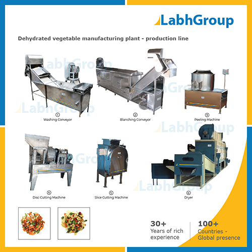 Dehydrated Vegetable Manufacturing Plant - Production Line