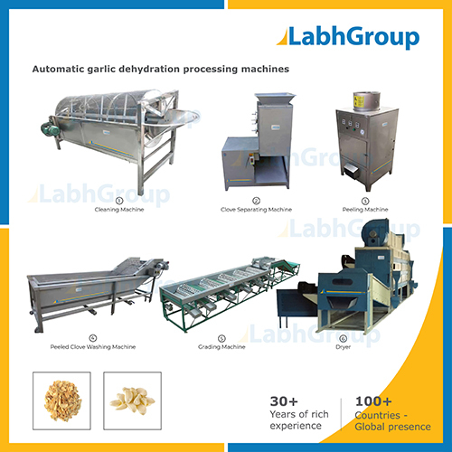 Dehydrated Garlic Flakes Making Machines