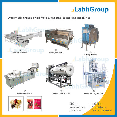 Freeze Dried Fruit & Vegetables Making Machines - Production Plant Capacity: 500 Kg/Hr