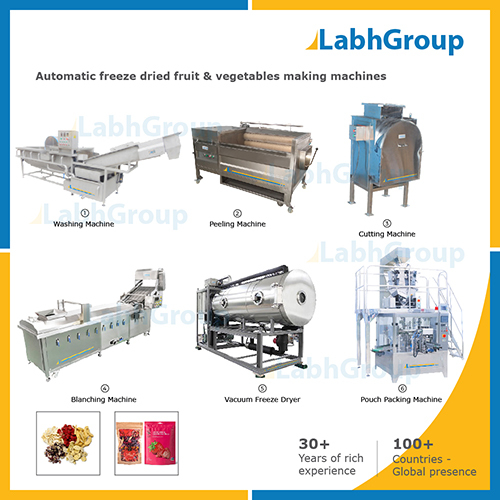 Freeze Dried Fruit & Vegetables Making Machines - Production Plant