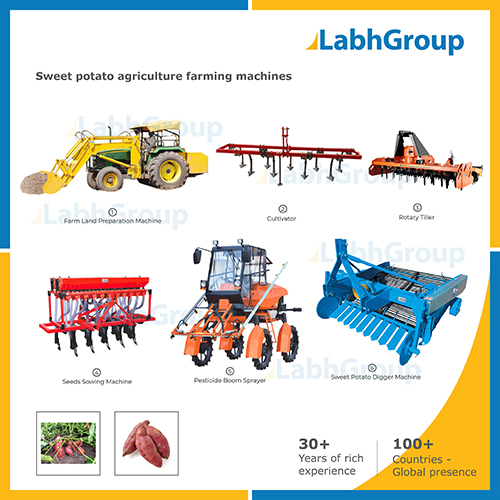 Sweet Potato Agriculture Farming Machines
