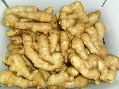 Fresh Ginger By TRADING PLACES AG