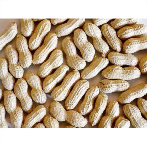 Fresh Groundnut