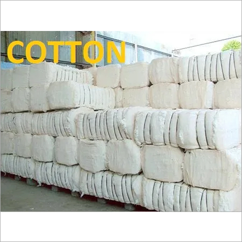 Raw Cotton And Bales