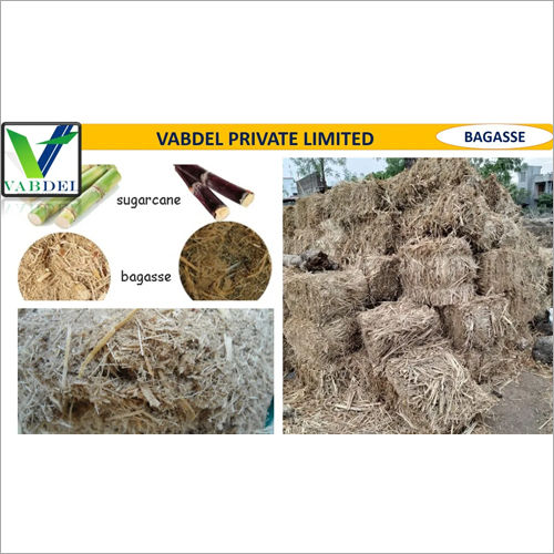 Fresh Sugarcane Bagasse