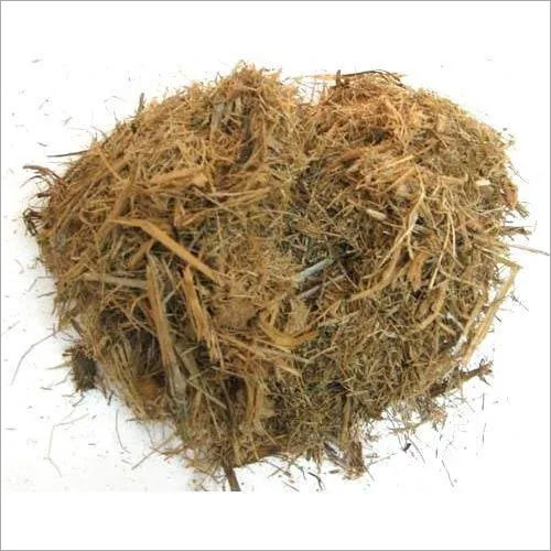 Sugarcane Raw Bagasse