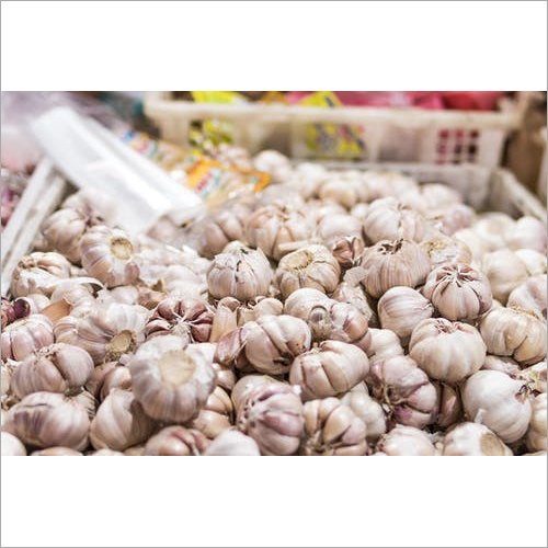 White Garlic