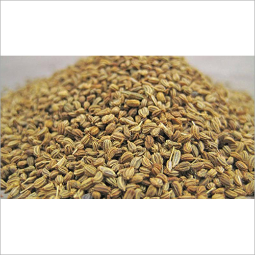 Ajwain Seeds - 10 Grams | Natural Raw Round Shape, 450 Days Shelf Life