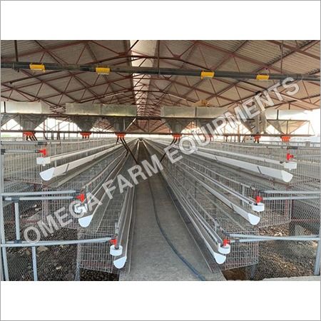 Automatic Poultry Feeding System