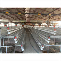 Galvanized Automatic Poultry Feeding System