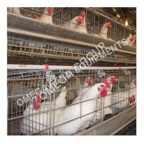 Chicken Birds Silver Two Tier Layer Breeder Cage By OMEGA FARM EQUIPMENTS