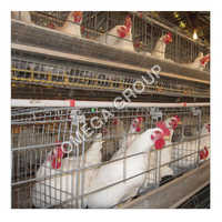 Two Tier Layer Breeder Cage - Feature: Durable