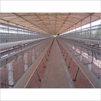 Mild Steel Broiler Breeder Poultry Cage