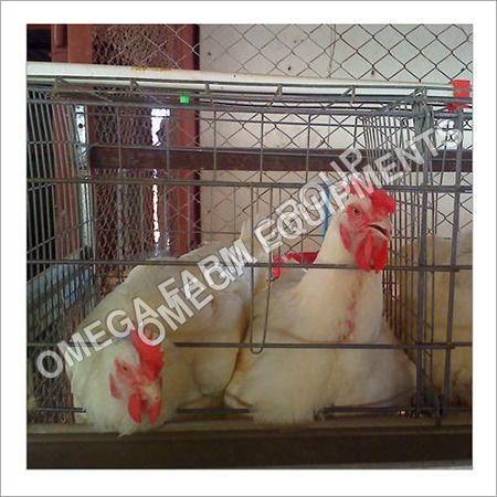 Mild Steel Layer Breeder Cage