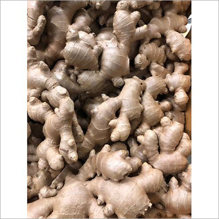 Fresh Ginger