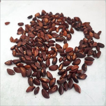 Amla Seeds