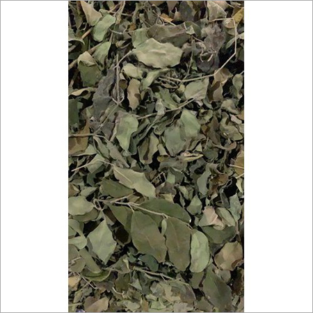 Organic Moringa Dried Leaves