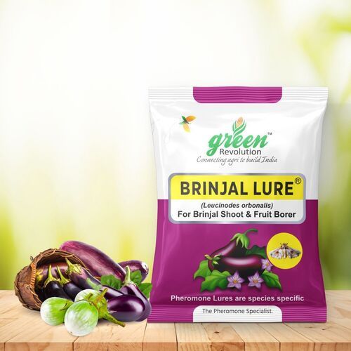 Brinjal Fruit and Shoot Borer Pheromone Trap - Leucinodes Orbonalis Pheromone Lure