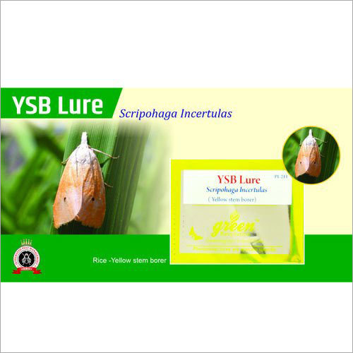 Yellow Stem Borer Pheromone Trap (YSB Lure) Scirpophaga Incertulas Pheromone Lure