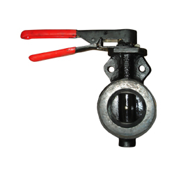 Butterfly Valve (Wafer-Flanged)